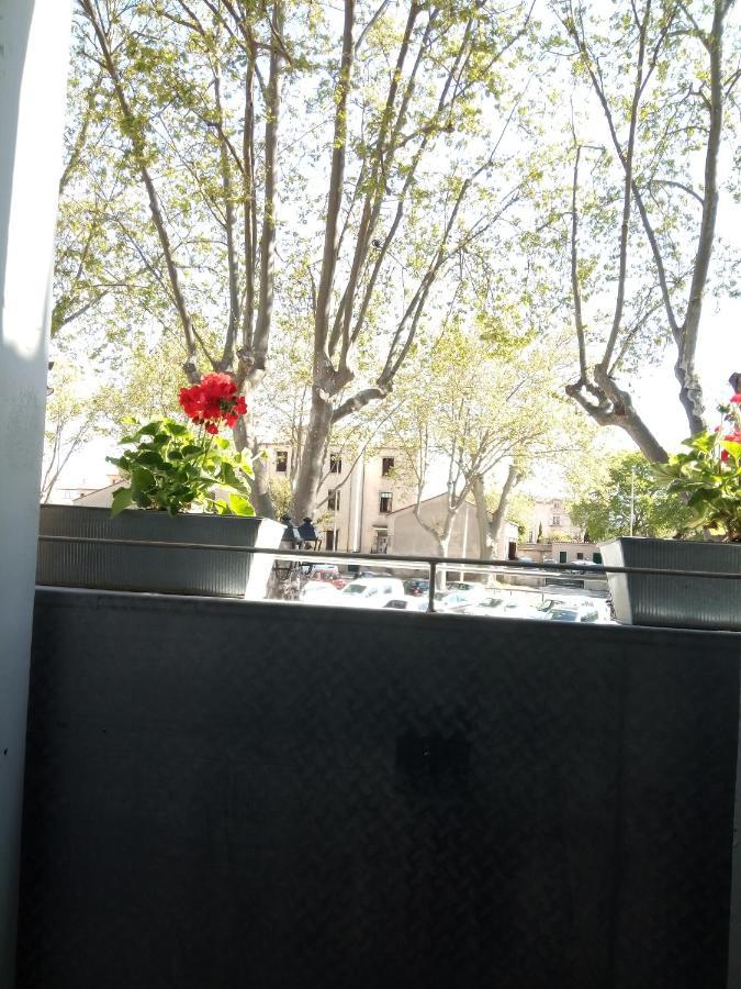 Chez Marie Louise Apartment Pezenas Bagian luar foto